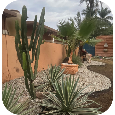 Design sem nome (10)