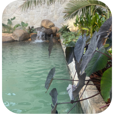 Design sem nome (12)