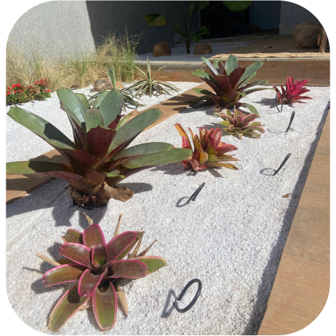 Design sem nome (13)