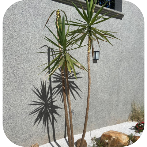 Design sem nome (14)