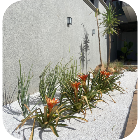 Design sem nome (16)