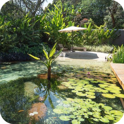 lago artificial 01